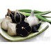 Organic Garlic Bulb